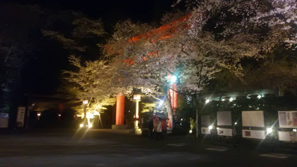 冠稲荷神社夜桜